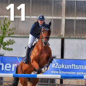 Fränkische Meisterschaft - Prüfung 11, Springpr. Kl. L