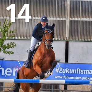 Fränkische Meisterschaft - Prüfung 14, Ponystilpr. Kl. A**