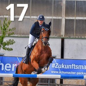 Fränkische Meisterschaft - Prüfung 17, Ponystilpr. Kl. E